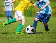 浓眉东契奇,交易引争议,里奇,博鱼体育官网,博鱼体育app,博鱼体育APP下载